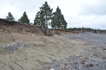 Jasper Beach bluff erosion by Joseph Kelley