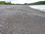 Jasper Beach cusps and sediment size by Joseph Kelley