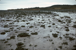 Lubec tidal flat by Joseph Kelley