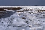 Marsh Ice by Joseph Kelley