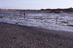 Marsh-less Bay