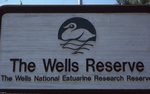 The Wells Reserve