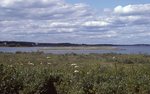 So. Lubec B.I. from Carrying Place Cove