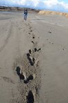 footprints in soft beach sand