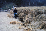 beach dune erosion Sand Beach by Joseph Kelley