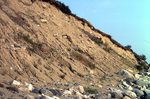 Roque Bluffs Till Erosion by Joseph Kelley