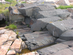 basalt columns in dike at Schoodic Point
