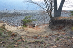 bluff erosion on Bar Island by Joseph Kelley
