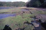 Bunganuc Landing - New and Old Marsh by Joseph Kelley