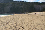 Sand Beach berm view west