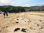 Sand Beach berm view west with dune scar by Joseph Kelley