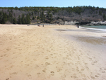 Sand Beach foreshore view east