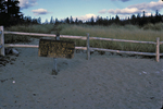Sand Beach first dune fence by Joseph Kelley