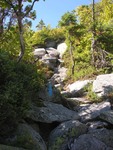 Hamlin Ridge trail by Joseph Kelley