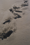 deep footprints in beach sand