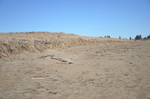 frontal dune Mile Beach