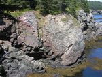volcanic rocks on Bold Coast trail