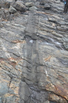basalt dike in Kittery Fm by Joseph Kelley