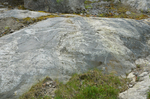 striated outcrop of migmatite