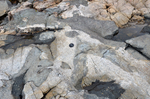 mafic intrusions in Gouldsboro granite by Joseph Kelley