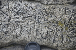 pegmatite gabbro near Nubble Light by Joseph Kelley
