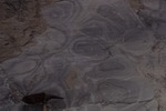 Glacial Striations on Cambrian Dolomite w/ Stromatolites by Woodrow B. Thompson