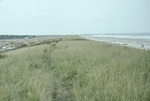 sand dunes Ogunquit by Joseph Kelley