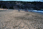Sand Beach berm view east by Joseph Kelley