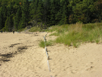 Sand Beach dune line view west by Joseph Kelley