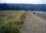 Sand Beach view east dune line