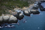 Bold Coast cliffs from air