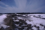 Snow covered marsh at Parsons Beach by Joseph Kelley