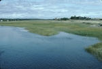 Backbarrier marsh dune near sewer plant