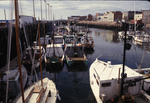 Eastport harbor by Joseph Kelley