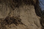 Eolian Dune Sand by Woodrow B. Thompson
