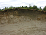cross section of paleo sand dune