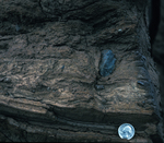 dropstone in glacial-marine mud by Joseph Kelley