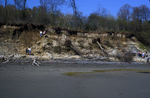 Glacial-marine sediment at Bungunac