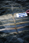 burrow in glacial-marine sediment by Joseph Kelley