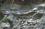 North Anson Fm over glacial-marine mud by Joseph Kelley