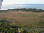 bog on Great Cranberry Island from air by Joseph Kelley