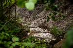 old trench in shell midden