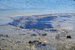 oil on tidal flat by Joseph Kelley