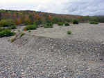 gravel lobe in Sandy River
