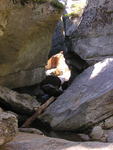 Screw Auger Falls cave