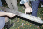 core from vernal pond in Schoodic