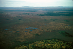 bog 1 mi north of Epping from air by Joseph Kelley