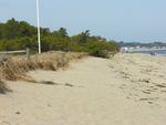 Ferry Beach State Park erosion