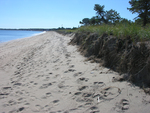 Ferry Beach dune erosion by Joseph Kelley