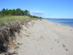 Ferry Beach dune erosion by Joseph Kelley